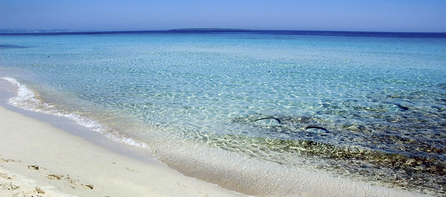  Formentera, protagonista en la 1ª Feria virtual de viajes